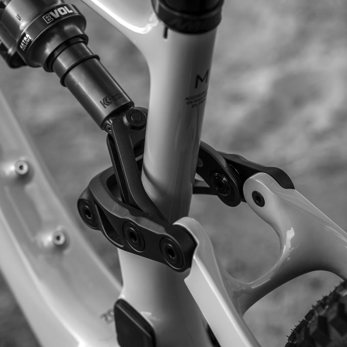 Amflow PX Carbon – VTT Électrique Tout-Suspendu DJI Avinox 150 Nm 700Wh SRAM Eagle AXS 29"/27.5" – Noir 2026